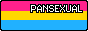 Pansexual